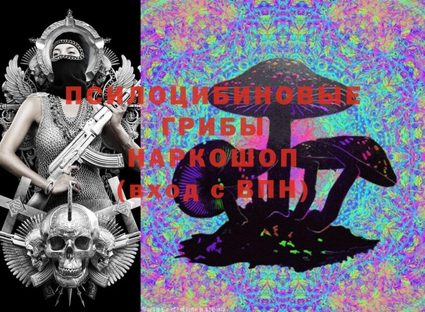 круглые Абаза