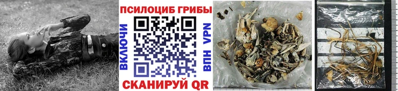 Галлюциногенные грибы MAGIC MUSHROOMS  KRAKEN   Хилок 